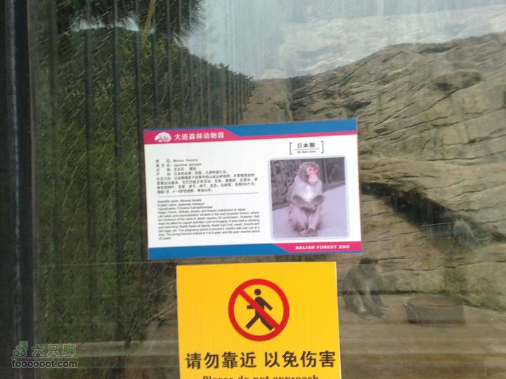 大连滨海西路-森林动物园观光20100821282