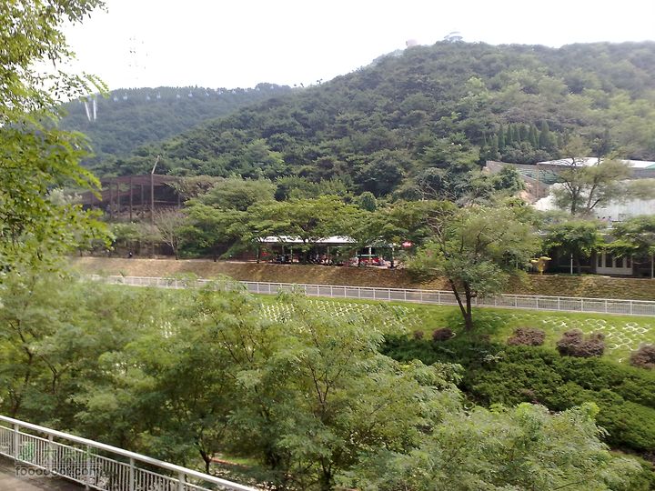大连滨海西路-森林动物园观光20100821286