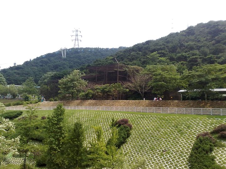 大连滨海西路-森林动物园观光20100821287