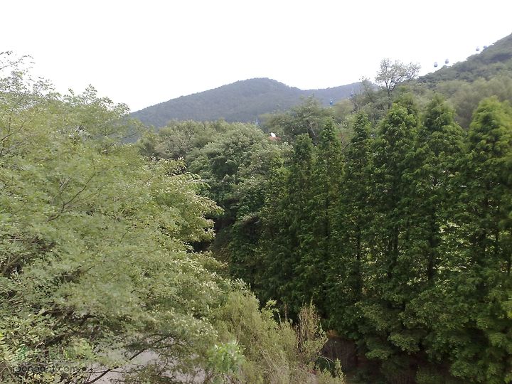 大连滨海西路-森林动物园观光20100821288