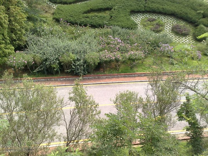 大连滨海西路-森林动物园观光20100821289
