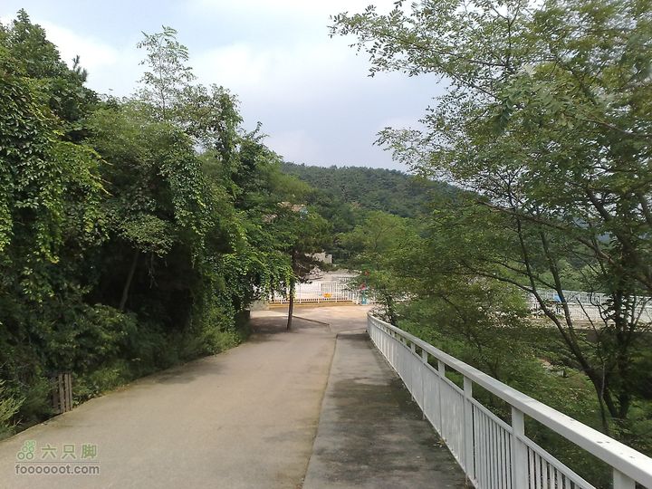 大连滨海西路-森林动物园观光20100821290