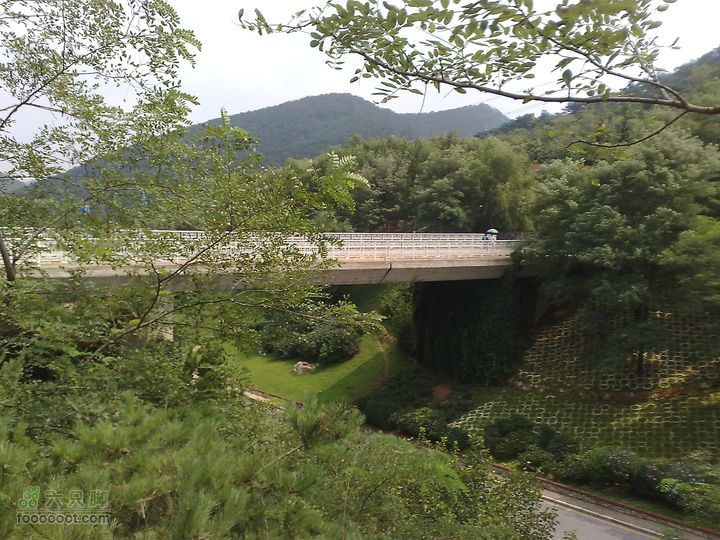 大连滨海西路-森林动物园观光20100821291
