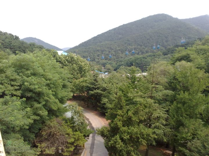 大连滨海西路-森林动物园观光20100821294
