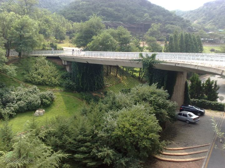 大连滨海西路-森林动物园观光20100821295