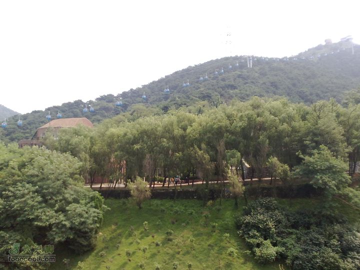 大连滨海西路-森林动物园观光20100821296
