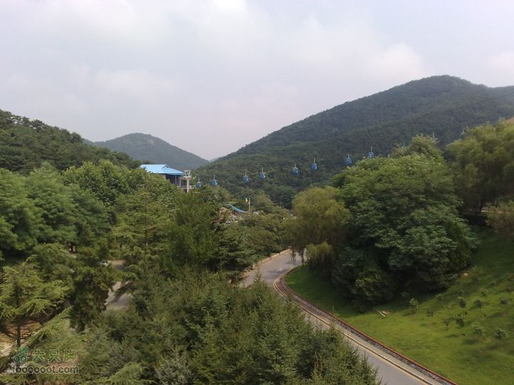 大连滨海西路-森林动物园观光20100821298