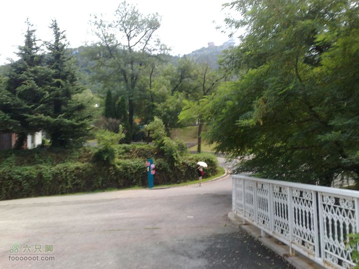 大连滨海西路-森林动物园观光20100821299