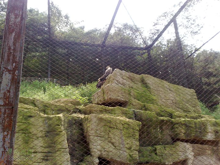 大连滨海西路-森林动物园观光20100821300