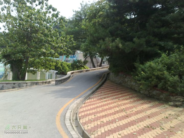大连滨海西路-森林动物园观光20100821303