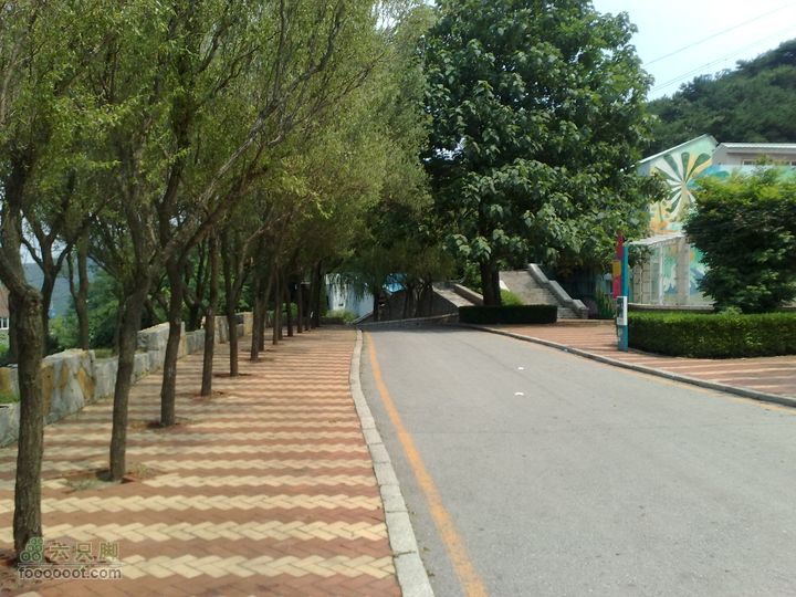 大连滨海西路-森林动物园观光20100821304
