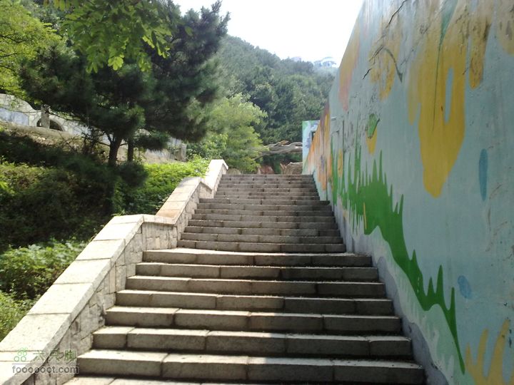 大连滨海西路-森林动物园观光20100821306