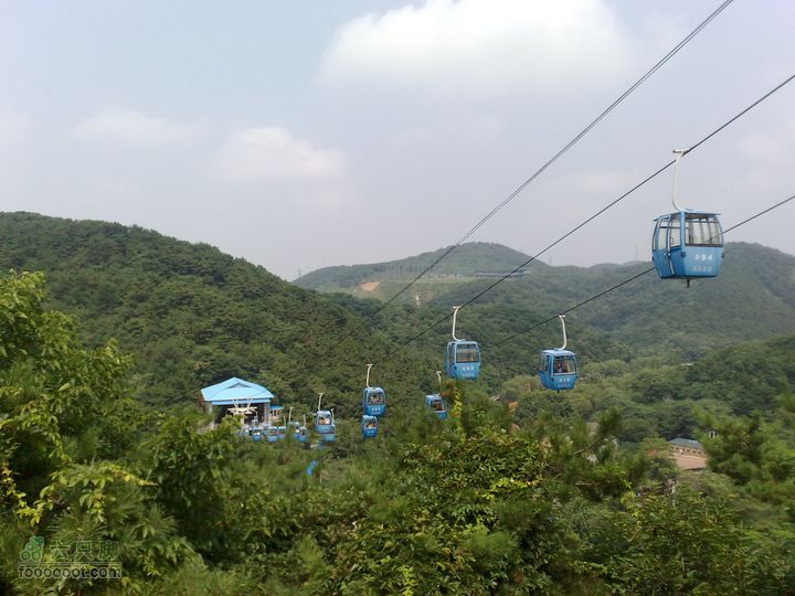 大连滨海西路-森林动物园观光20100821307