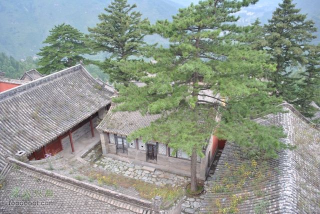 镇海寺、龙泉寺、南山寺DSC_0528