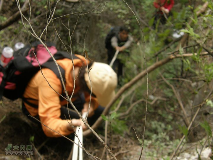 庆国庆再寻任老师-铁坨山北上南下-赵家台PA010496