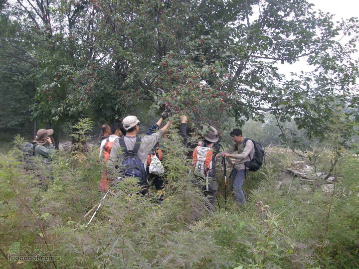 庆国庆再寻任老师-铁坨山北上南下-赵家台PA010635