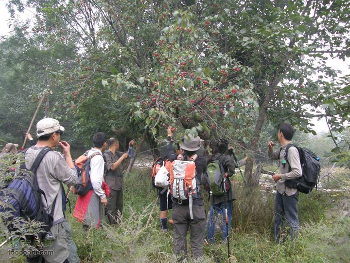 庆国庆再寻任老师-铁坨山北上南下-赵家台PA010636