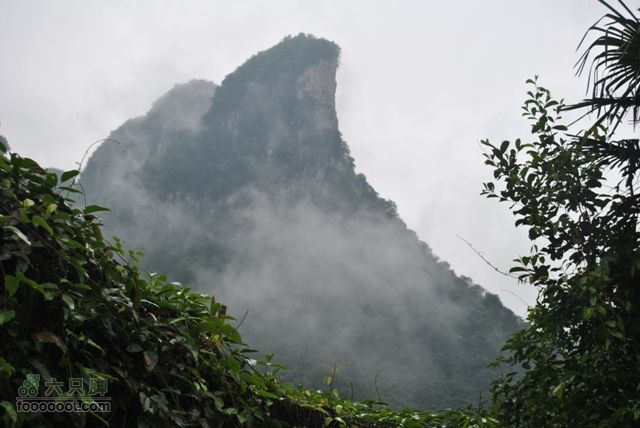 德夯苗寨DSC_0316