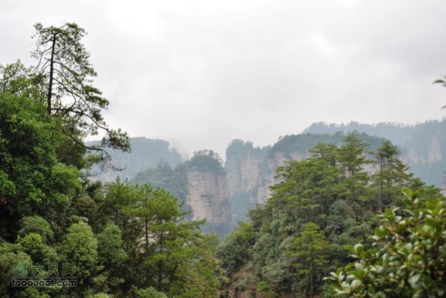 张家界之武陵源2DSC_0487