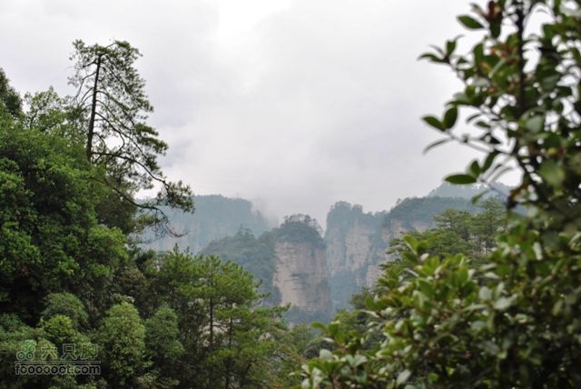 张家界之武陵源2DSC_0488