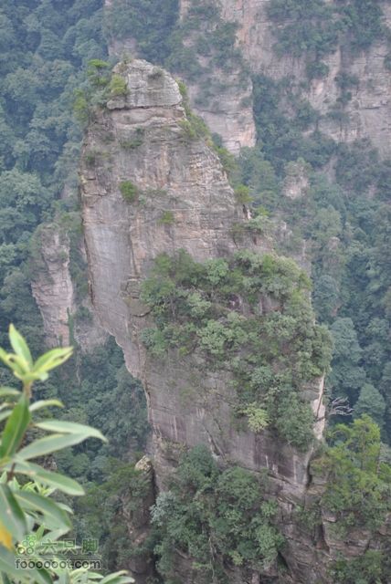 张家界之武陵源2DSC_0494