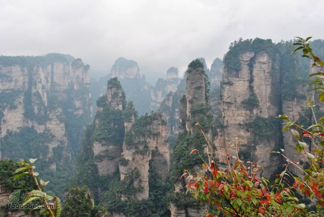张家界之武陵源2DSC_0509