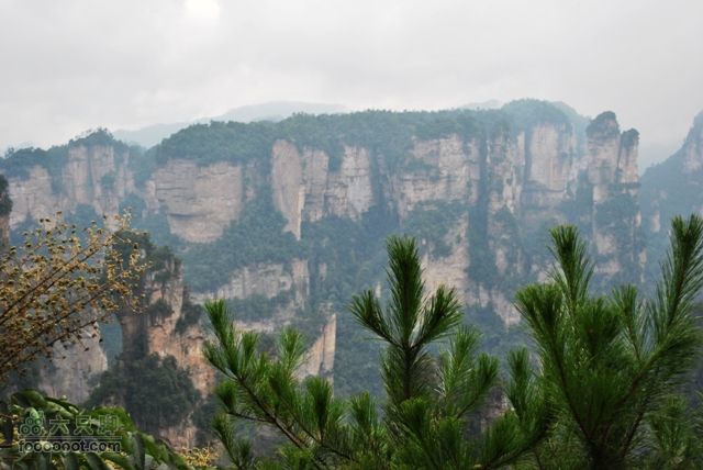 张家界之武陵源2DSC_0525