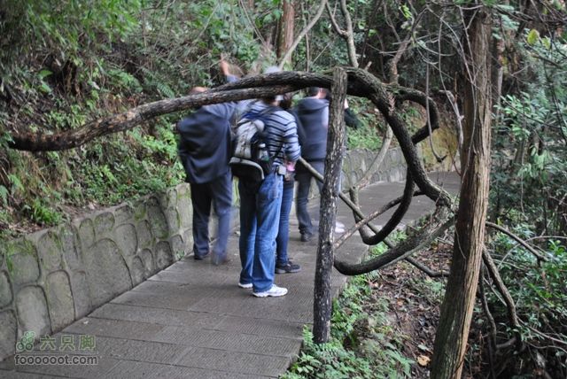 张家界之武陵源2DSC_0536