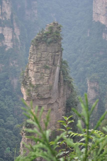 张家界之武陵源2DSC_0550