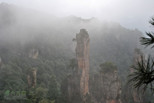 张家界之武陵源5DSC_0229