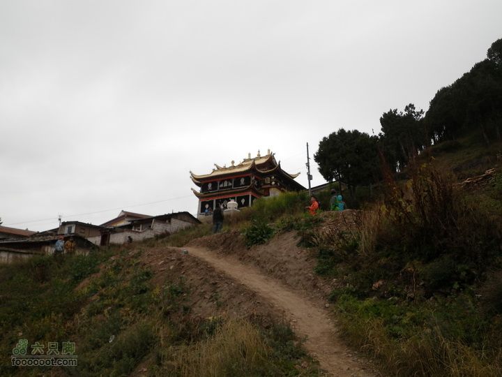 宁静而让人沉溺的小镇-郎木寺(最佳逃票路线)下山