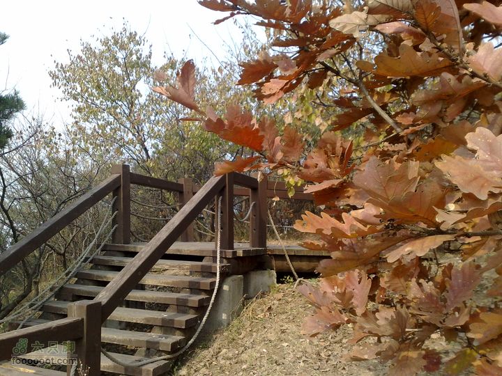 再游金州童牛岭 - 经典徒步游览路线201011051477