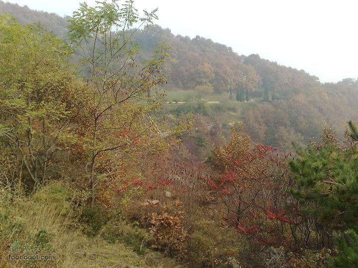 再游金州童牛岭 - 经典徒步游览路线201011051508