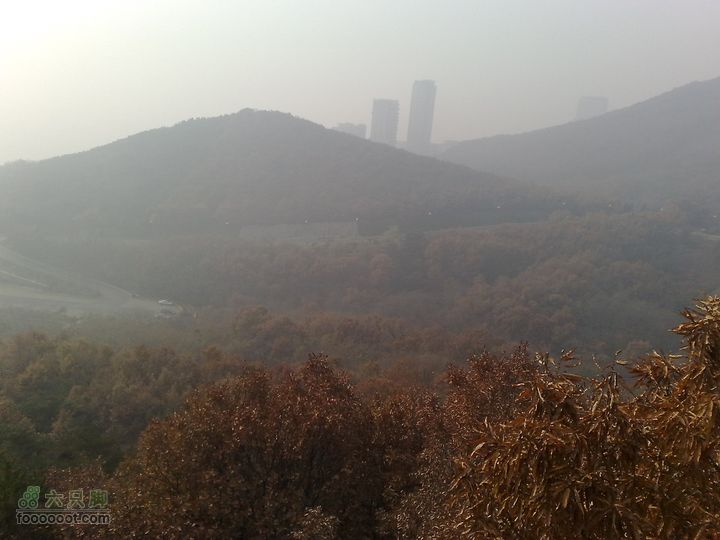 再游金州童牛岭 - 经典徒步游览路线201011051533