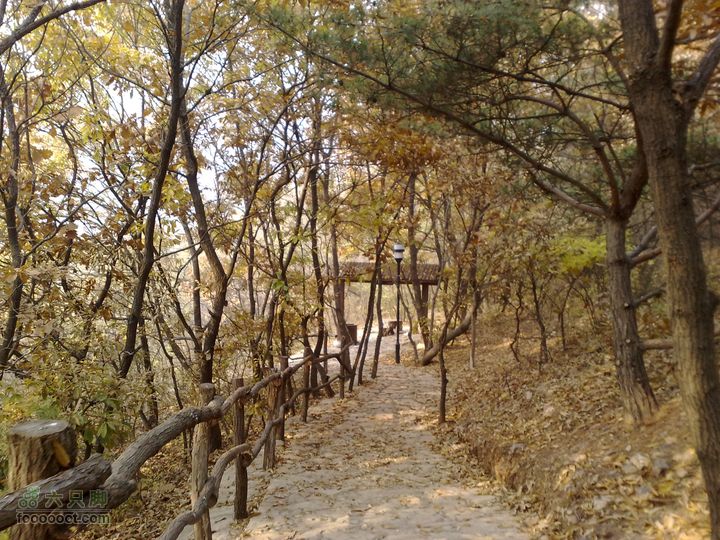 再游金州童牛岭 - 经典徒步游览路线201011051568
