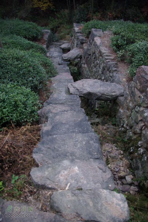 上青古道穿越IMGP6496