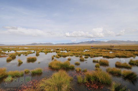 甘南扎尕那之旅DSC_7928