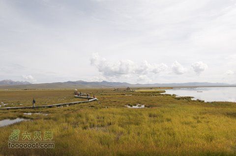 甘南扎尕那之旅DSC_7937