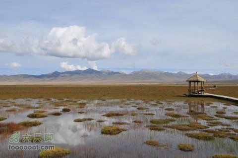 甘南扎尕那之旅DSC_7940