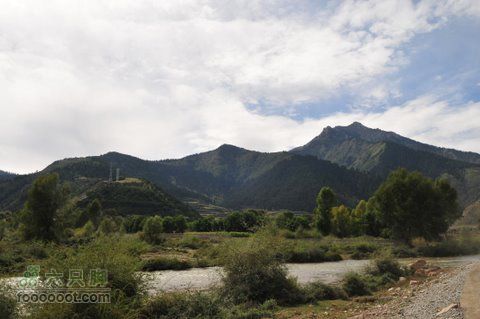 甘南扎尕那之旅DSC_7956