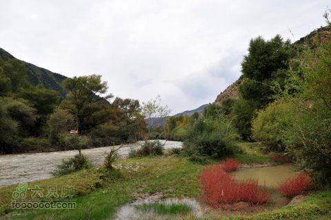 甘南扎尕那之旅DSC_7970