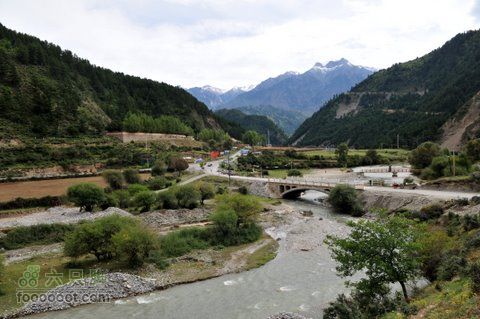 甘南扎尕那之旅DSC_7975