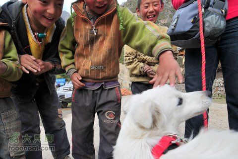 甘南扎尕那之旅DSC_8028