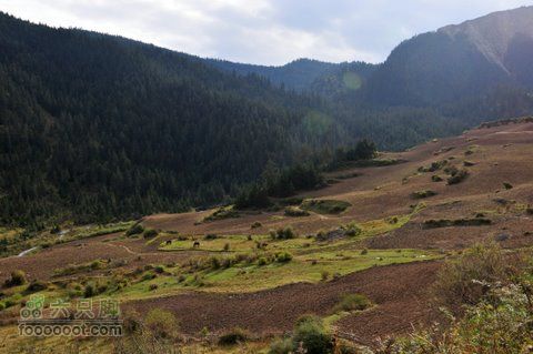 甘南扎尕那之旅DSC_8050