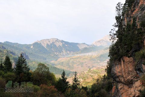 甘南扎尕那之旅DSC_8121