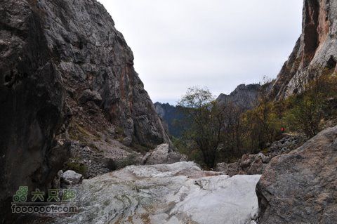 甘南扎尕那之旅DSC_8167