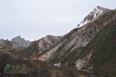 甘南扎尕那之旅DSC_8223