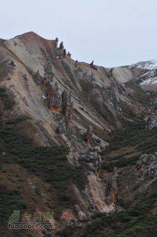 甘南扎尕那之旅DSC_8229