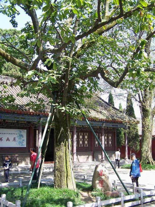 2009年国庆单车青木川100_2591