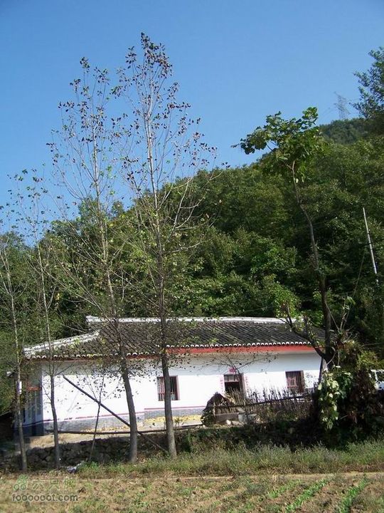 2009年国庆单车青木川100_2675